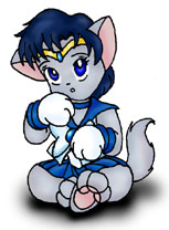 Sailor Mercury Kitty