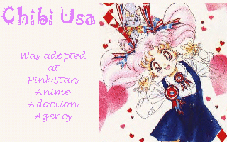 Chibiusa was adopted at Pink Stars Anime Adoption Agency
