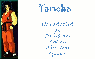 Yamcha was adopted at Pink Stars Anime Adoption Agency